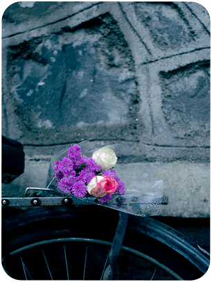 photography_and_video_cover_desktop